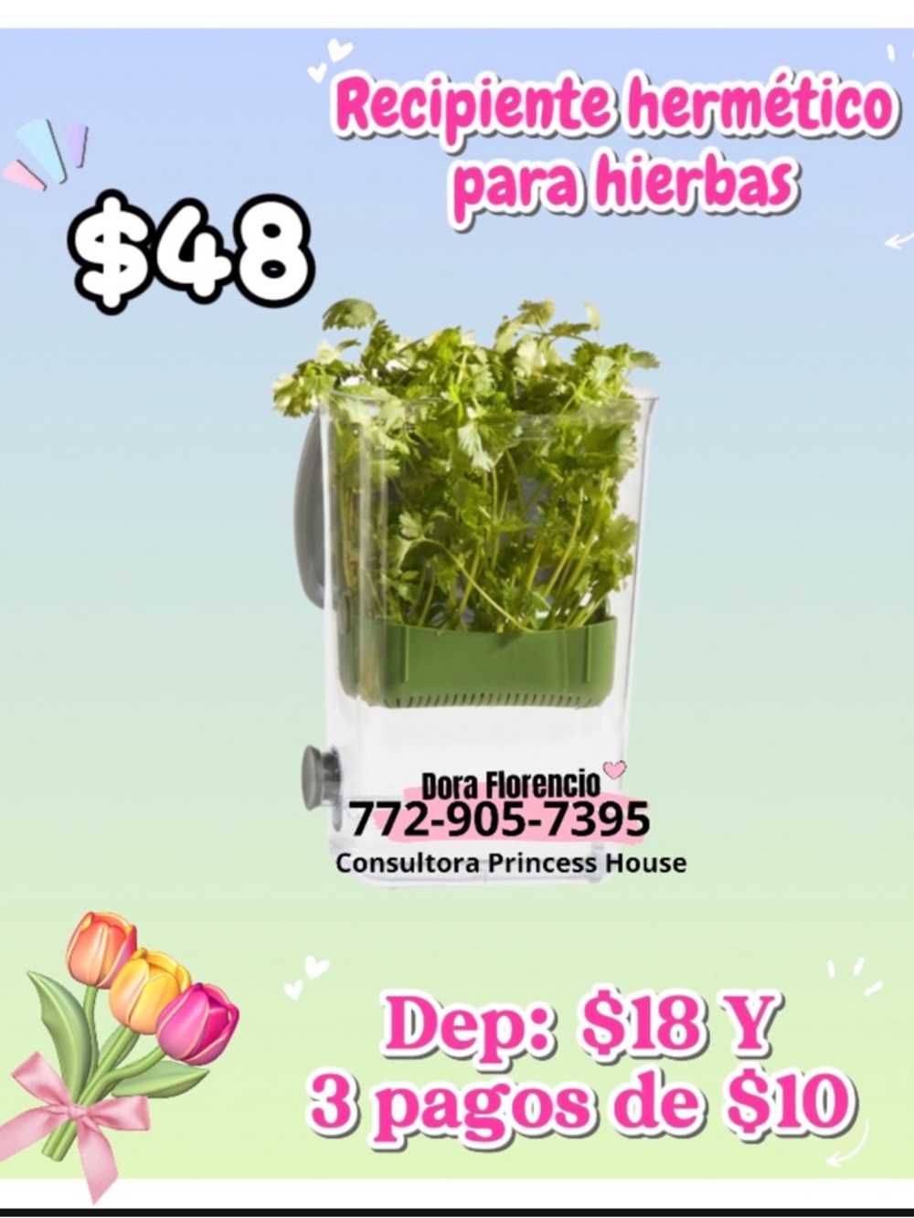 Princess House Herb Storage Container - Clear with Green Insert